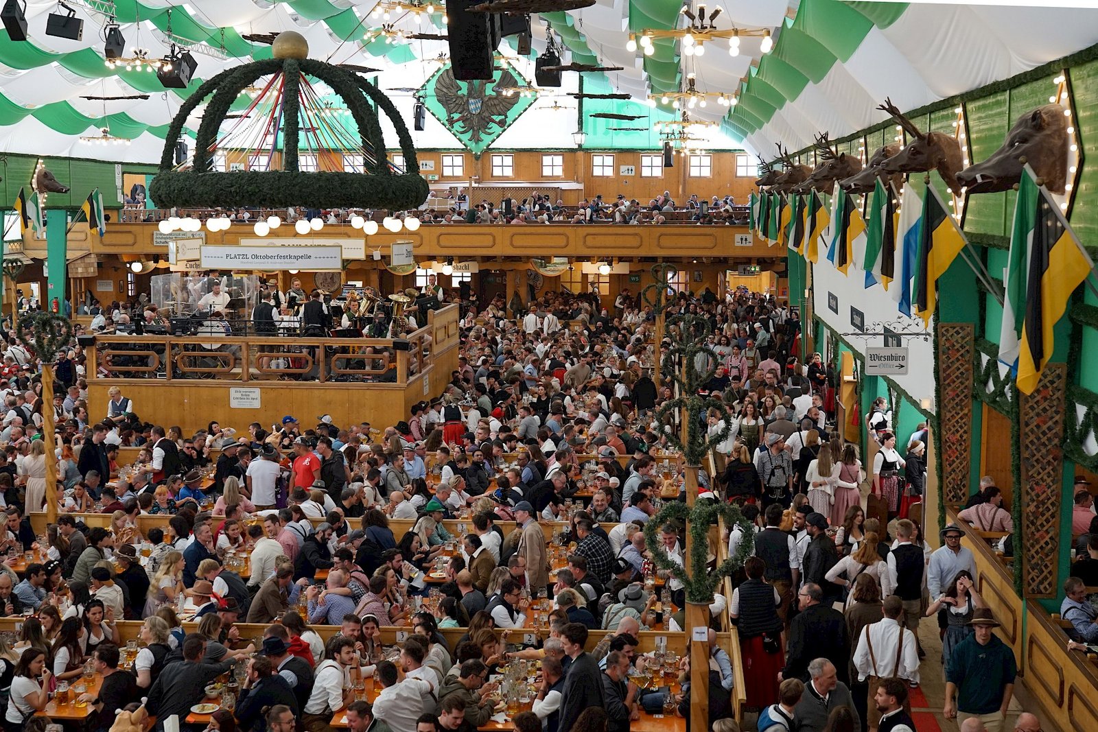 armbrustschuetzenzelt blick galerie wildsau
